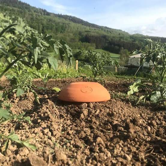Céramique d'irrigation Ollas Jamet Origin n°4 - 6L