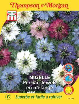Nigelle Persian Jewels mélange graines sachet