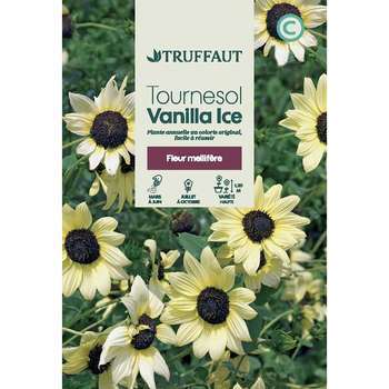 Tournesol vanilla ice 2g