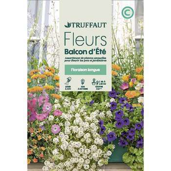 Fleurs d'été pour balcons