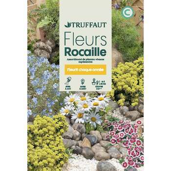 Fleurs vivaces en mélange : massifs/rocailles