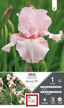 Bulbe iris germanica Beverly Sills