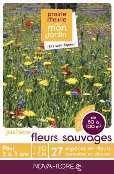 Mélange de fleurs sauvages botanic® - graines à semer (10 m²) : Graines de  fleurs déco Botanic® jardin - botanic®
