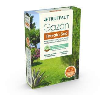 Gazon terrain sec 1kg truffaut