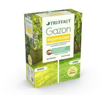 Gazon regarnissage Truffaut, 3kg