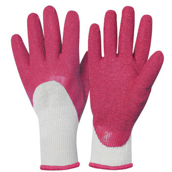 Gant rosier rose fushia T6