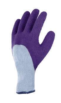 Gant rosier en latex violet T8