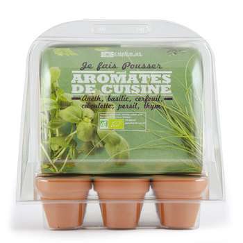 Mini serre 6 pots aromatiques