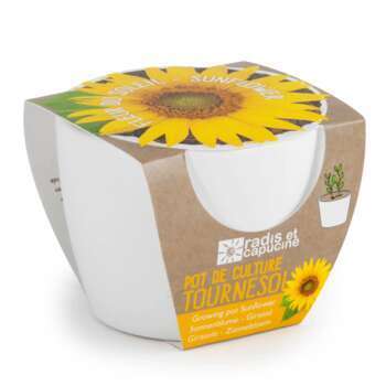 Pot céramique 8 cm Tournesol