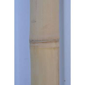 Chaume de bambou sec : beige L200 x D8 cm