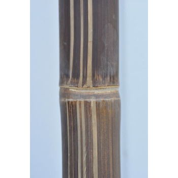 Chaume de bambou sec : noire L200 x D8cm