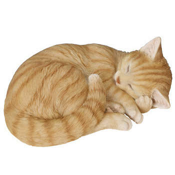 Chat roux endormi : L.28cm