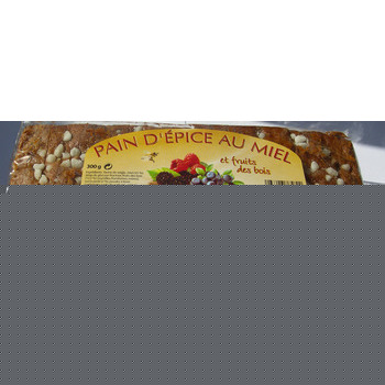 Pain d' épices fruits des bois 300gr