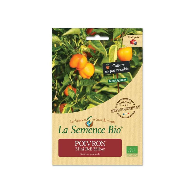 Poivron mini bell yellow - graines bio