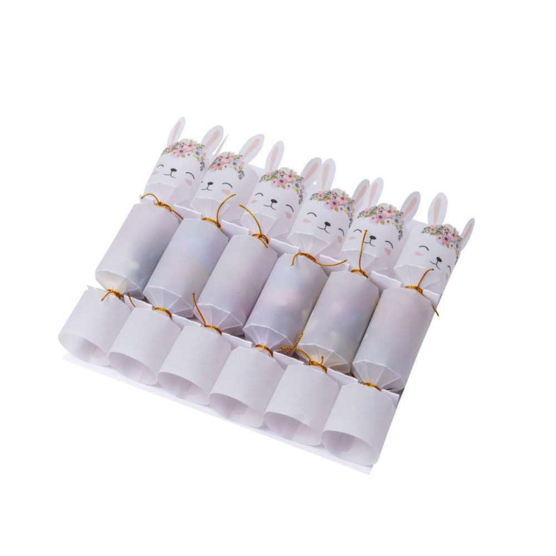 6 crackers lapinou fleurs avec confettis