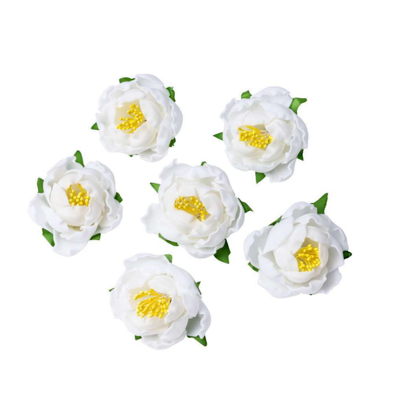 6 pivoines blanches en mousse sur adhésif - D. 5cm