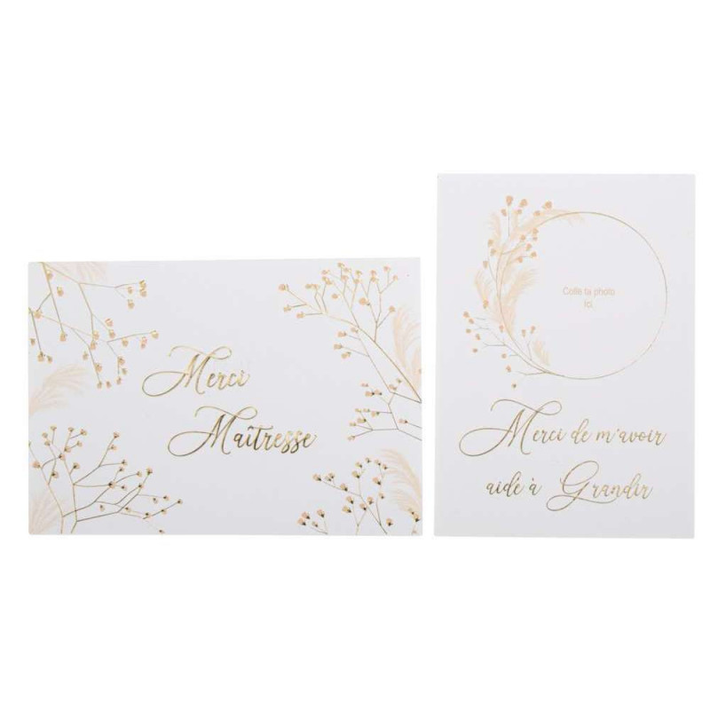 Carte et Enveloppe Maîtresse Merci de m'avoir aidé