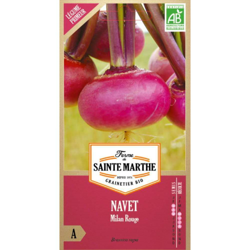 Graines de Navet de Milan Rouge