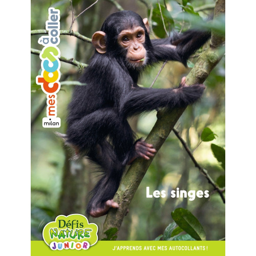Livre pour enfant, mes docs à coller : les singes