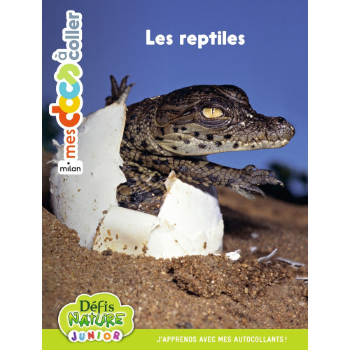 Livre pour enfant, mes docs à coller : les reptile