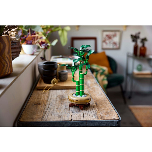 Le bambou de la chance, collection Botanicals, 325