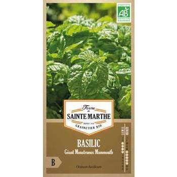 Basilic géant - En sachet