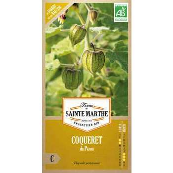 Graines de Coqueret du Pérou Bio en sachet