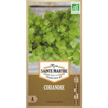 Coriandre cultivée - En sachet