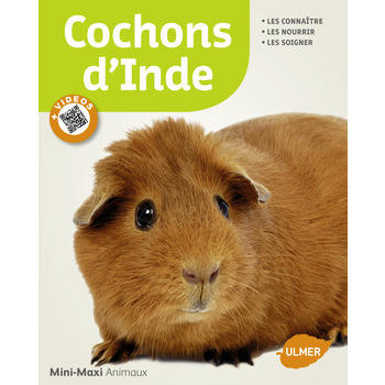 Livre animalerie rongeurs : Cochons d'inde Mini-Ma