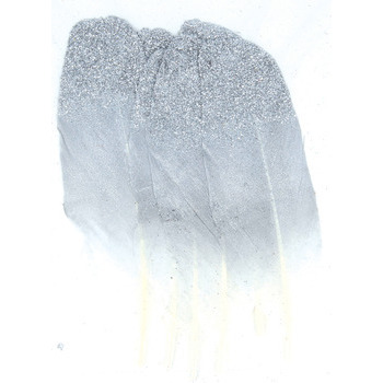 Plumes argentées x6