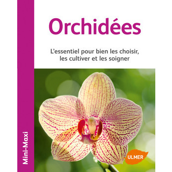 Orchidées