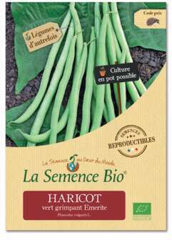 Haricot vert grimpant Emerite Bio
