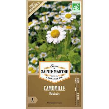 Camomille matricaire sachet 0,45 gr