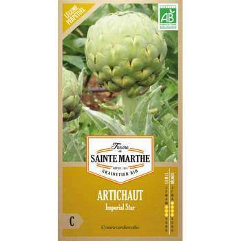 Graines d'artichaut imperial Bio en sachet