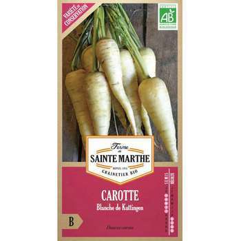 Graines de carotte blanche de kuttingen Bio en sac