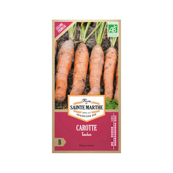 Graines de carotte touchon sachet Bio en sachet