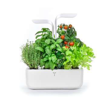 Potager d'intérieur 'Classic' - blanc
