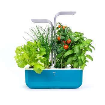 Potager d'intérieur smart Bleu