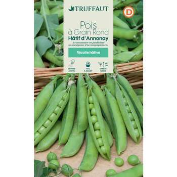 Graines de pois nain à grain rond très hatif dAnn