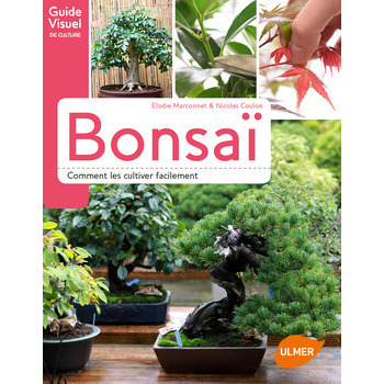 Bonsaïs