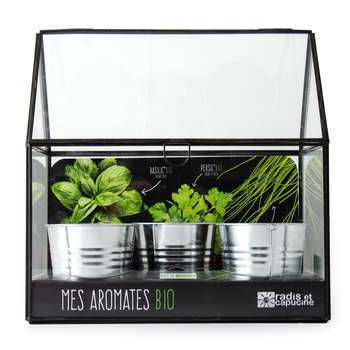 Chassis noir graines d'aromates bio