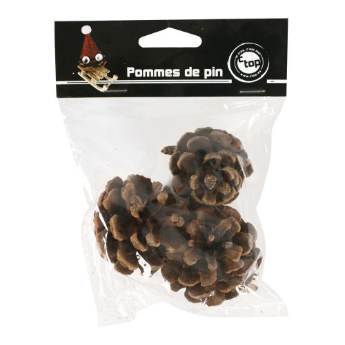 Pomme de pin 5,5 cmx3 pièces