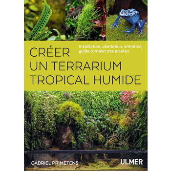 Créer un Terrarium tropical humide