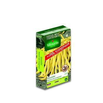 Graines de haricot nain Beurre Goussdor +20G gratu