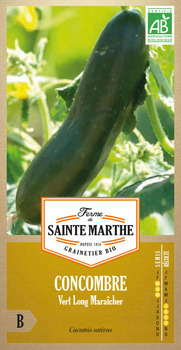 Graines de concombre vert long maraîcher Bio en sa