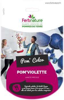 Pomme De Terre Pomviolette Gaiane 10 P