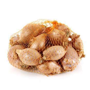 Bulbes d'échalotes 'Mikor' en filet -1 kg