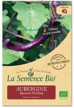 Aubergine Japanese Pickling Bio