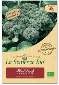 Brocolis calabrais hâtif Bio