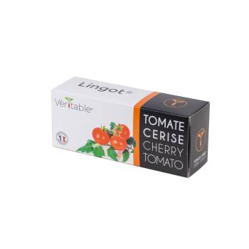 Recharge Lingot mini tomate rouge